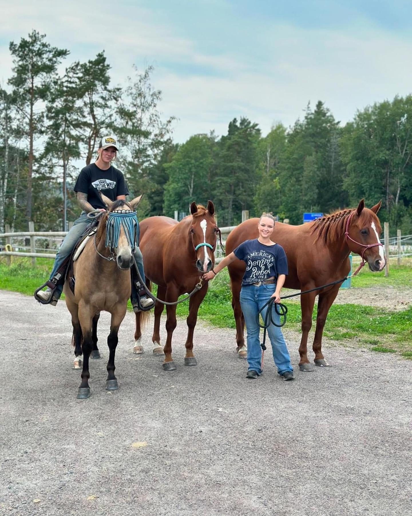 Ulvsby Ranch Western Camp Karlstad Dış mekan fotoğraf
