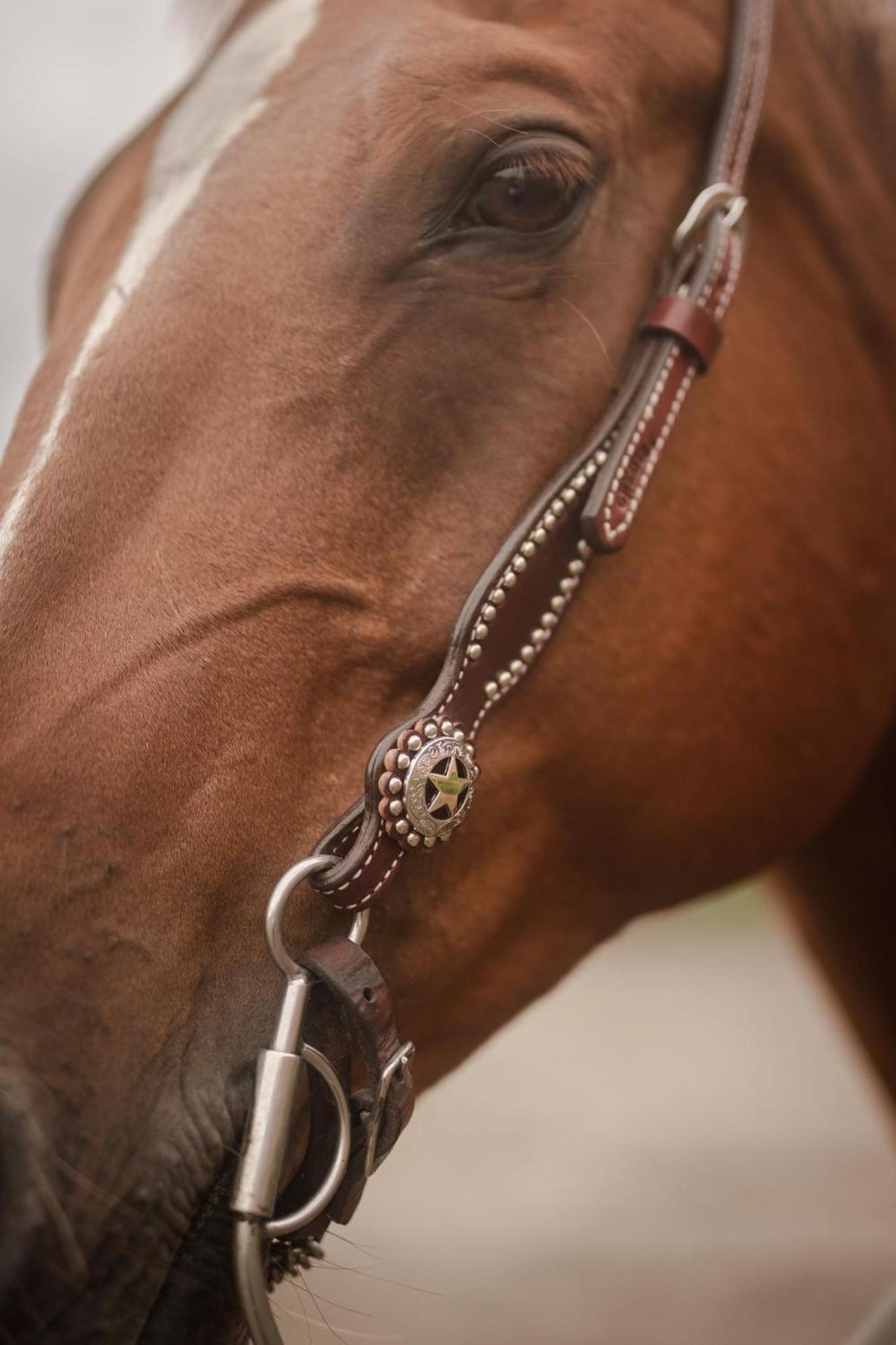 Ulvsby Ranch Western Camp Karlstad Dış mekan fotoğraf